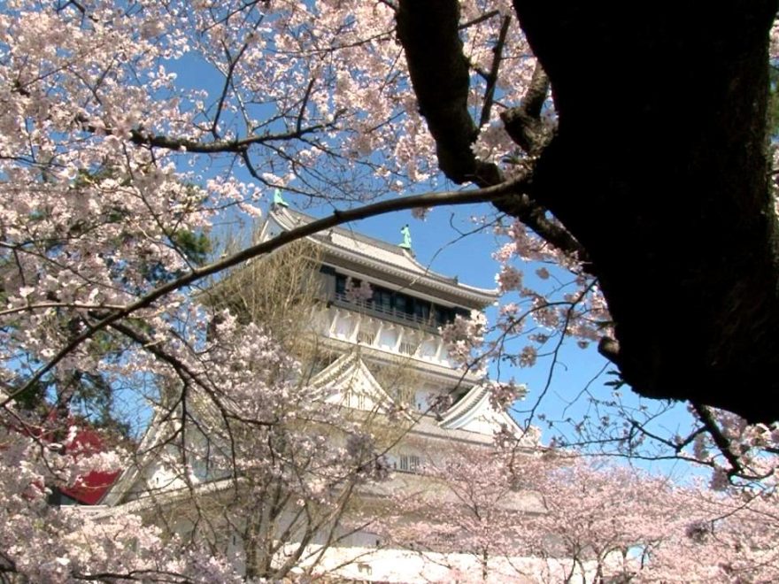 小倉城（勝山公園）（福岡） | 2019年夜桜ライトアップ・見頃情報