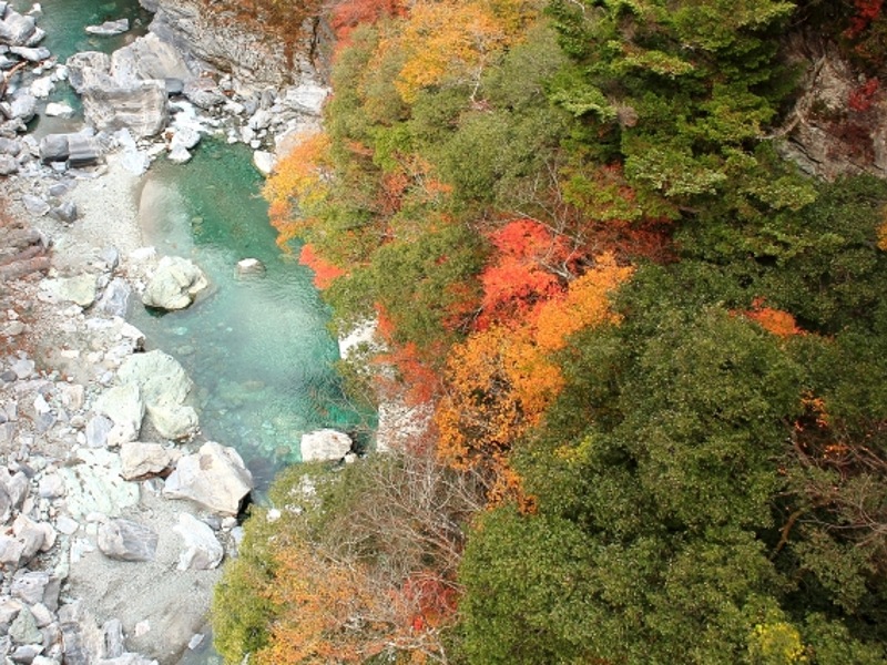 秘境祖谷の清流画像