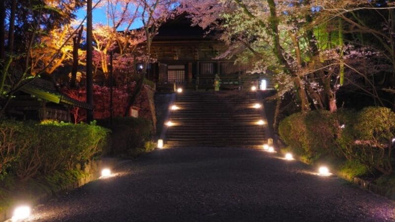 三井寺（園城寺）（滋賀） | 2023年桜祭り・夜桜ライトアップ・見頃情報