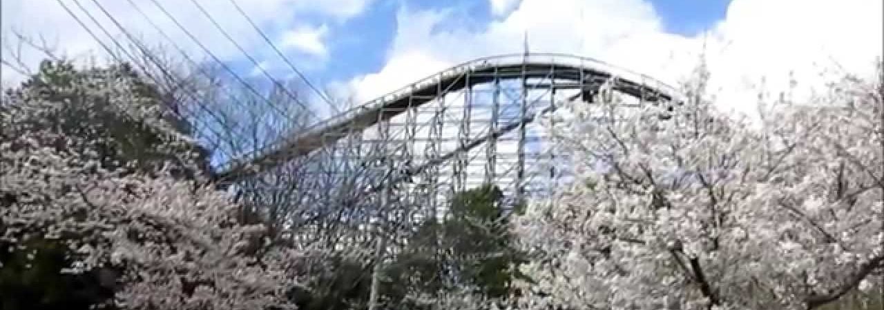 東武動物公園（埼玉） | 2019年夜桜ライトアップ・見頃情報