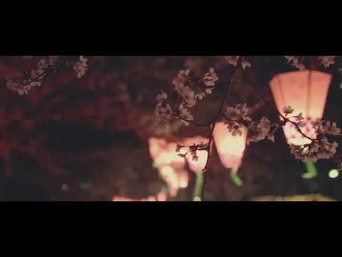 天覧山・中央公園（埼玉） | 2019年夜桜ライトアップ・見頃情報