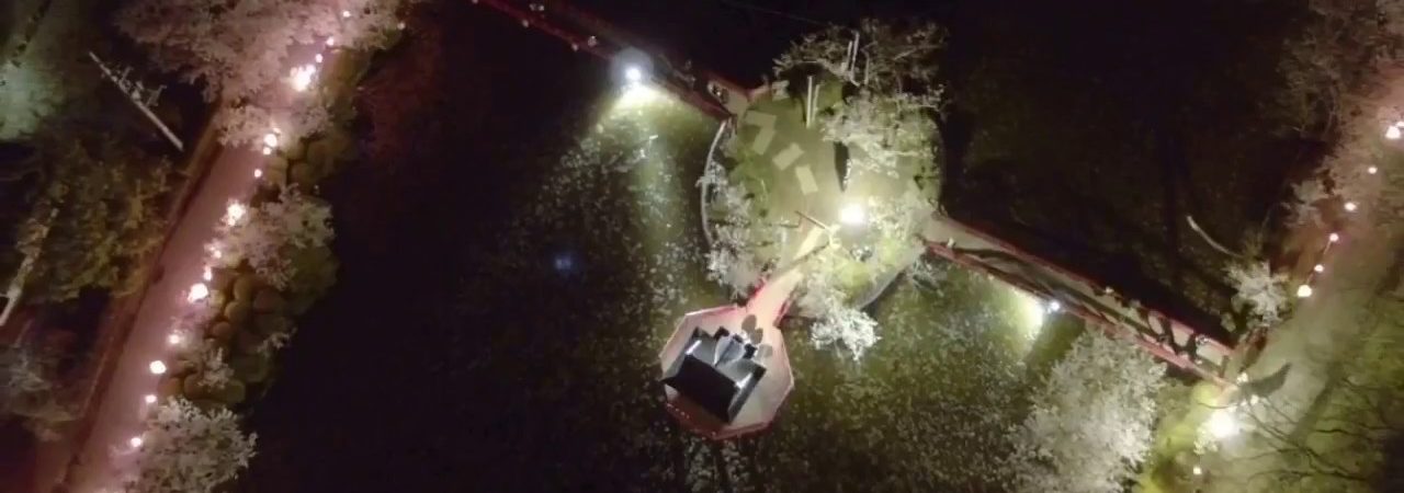 茂原公園（千葉） | 2019年夜桜ライトアップ・見頃情報