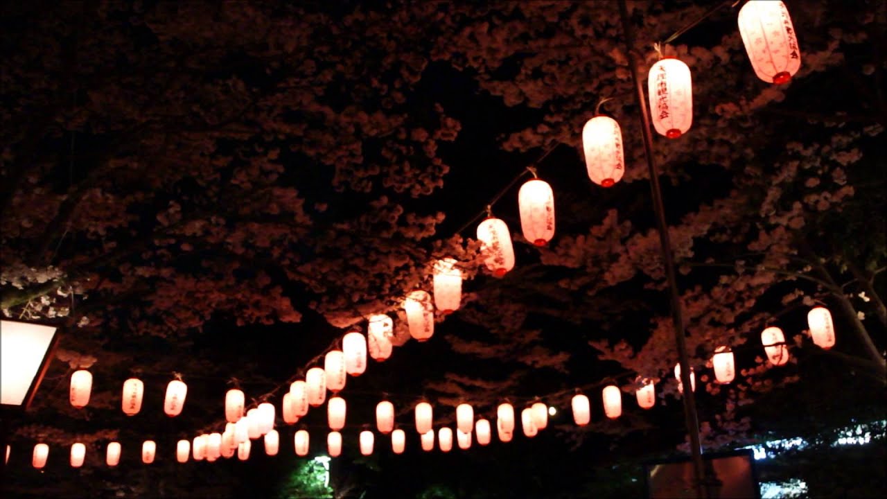 中止 石上神宮外苑公園 奈良 21年桜祭り 夜桜ライトアップ 見頃情報 Amatavi
