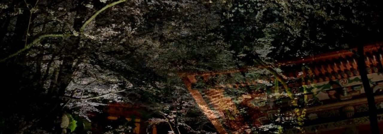 紀三井寺（きみいでら）（和歌山） | 2019年夜桜ライトアップ・見頃情報