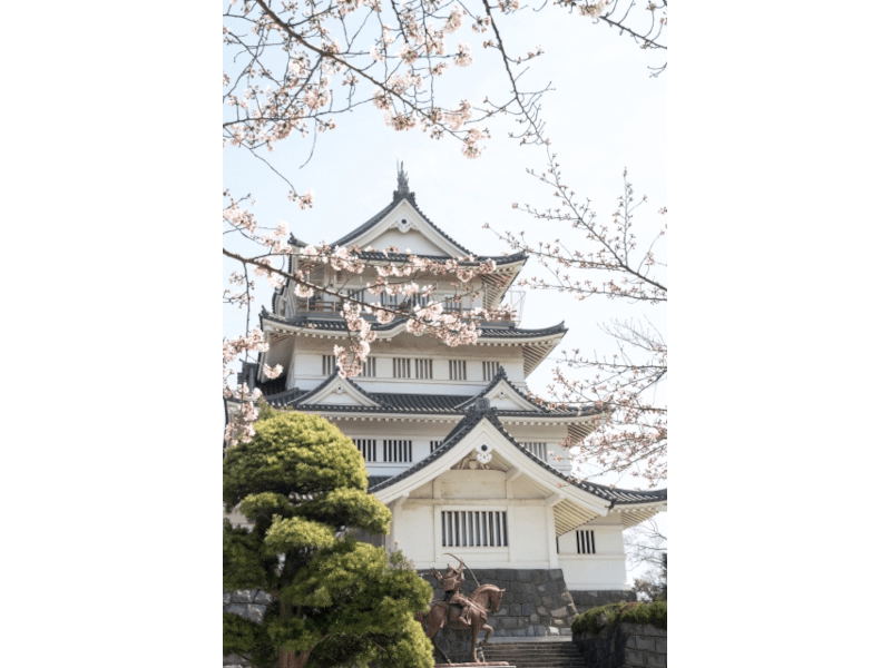千葉市 亥鼻公園（千葉） | 2023年桜祭り・夜桜ライトアップ・見頃情報