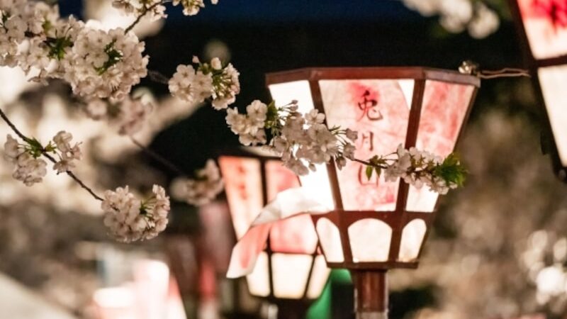 三嶋大社（静岡） | 2021年桜祭り・夜桜ライトアップ・見頃情報