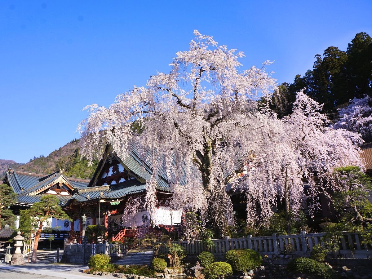 身延山 久遠寺を観光！見所とアクセス・駐車場・ロープウェイ情報
