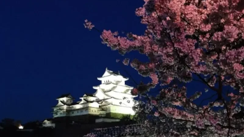 姫路城 西の丸庭園（兵庫） | 2024年桜祭り・夜桜ライトアップ・見頃情報