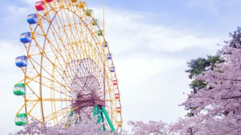 華蔵寺公園遊園地（群馬） | 2024年桜祭り・夜桜ライトアップ・見頃情報