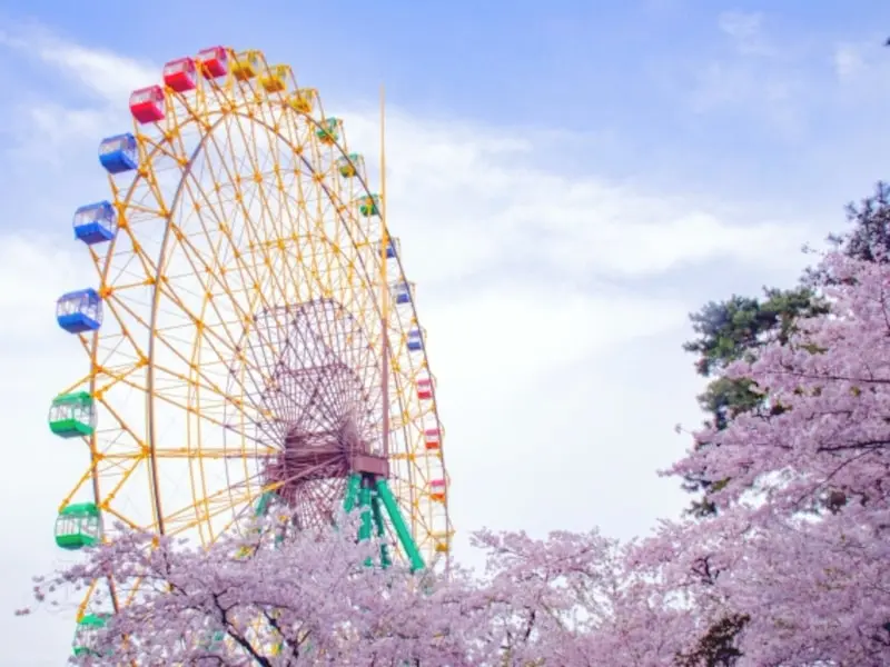 華蔵寺公園遊園地（群馬） | 2024年桜祭り・夜桜ライトアップ・見頃情報