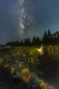 くじゅう花公園ナイトフラワーパーク