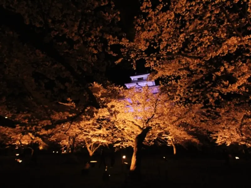 鶴ヶ城公園（会津若松城）（福島） | 2024年桜祭り・夜桜ライトアップ・見頃情報