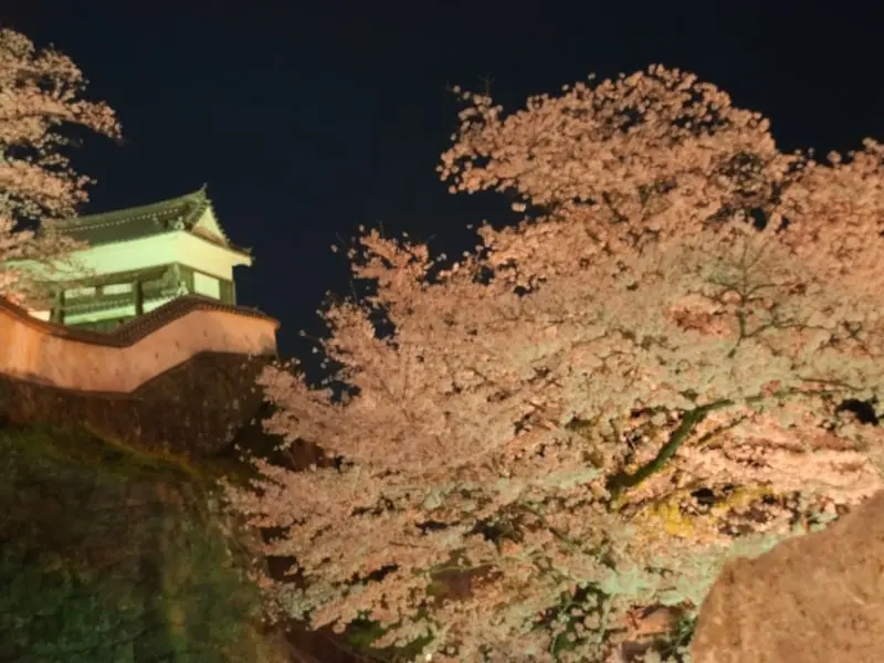 臼杵城址（大分） | 2024年桜祭り・夜桜ライトアップ・見頃情報