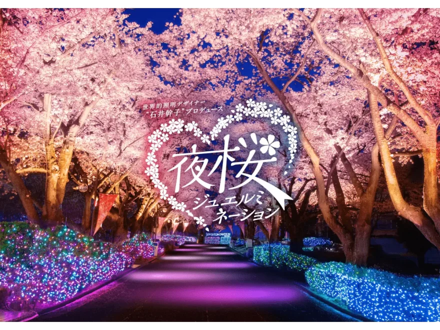 よみうりランド（東京） | 2024年桜祭り・夜桜ライトアップ・見頃情報