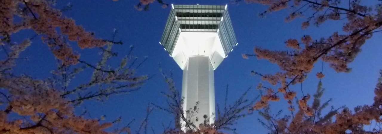 五稜郭公園（北海道） | 2019年夜桜ライトアップ・見頃情報
