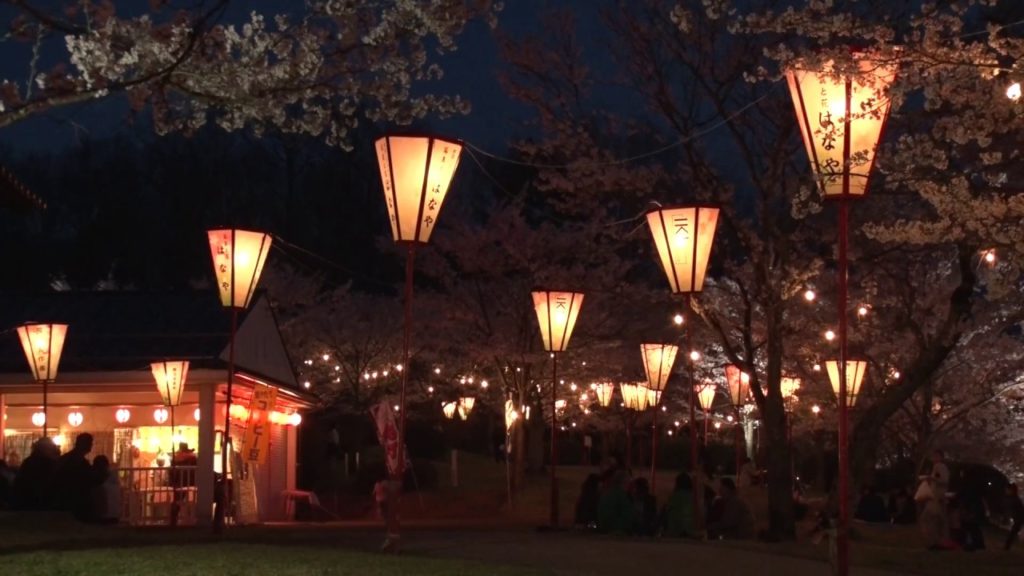 庄原市 上野公園（広島） | 2019年夜桜ライトアップ・見頃情報