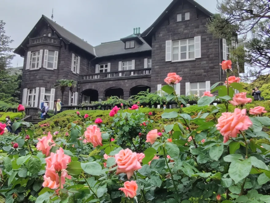 旧古河庭園（東京） | 2025年春バラまつり・見頃情報