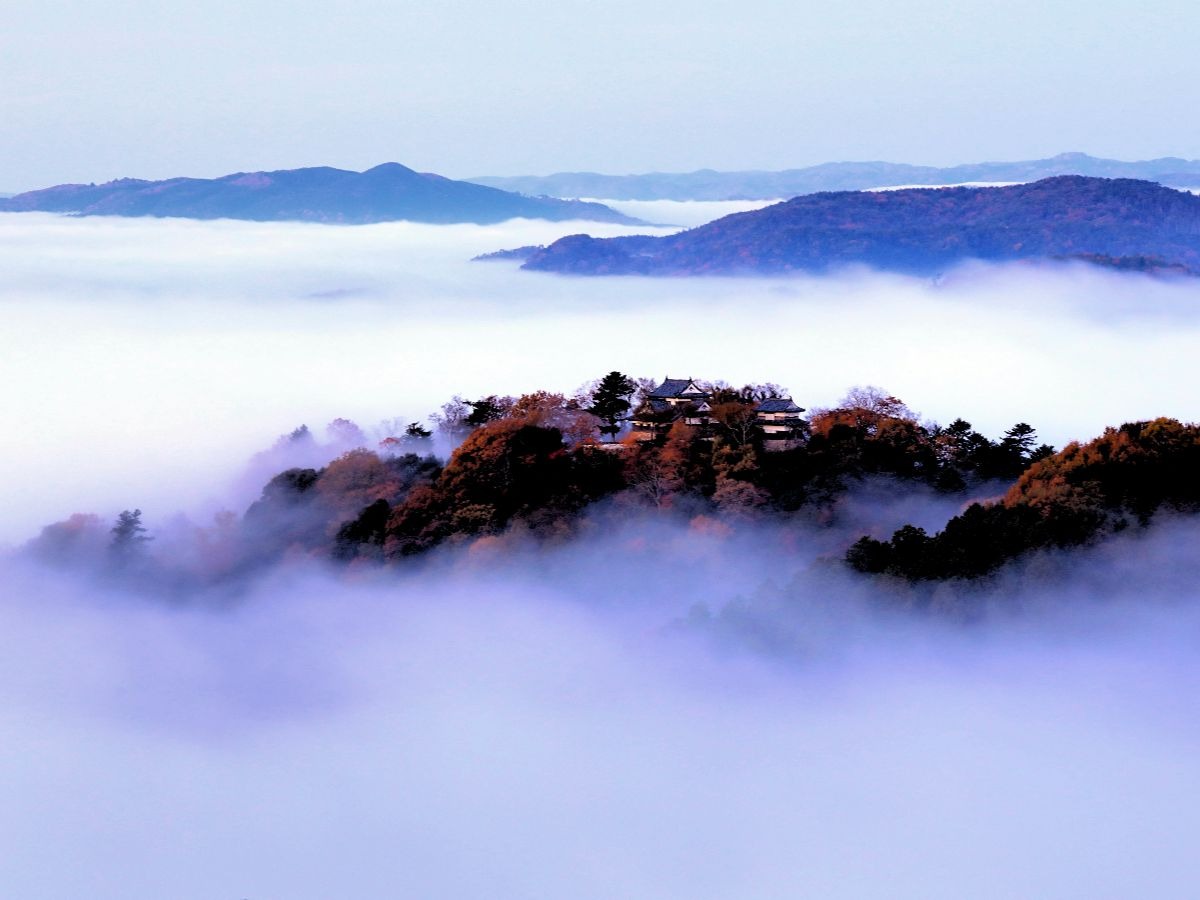 備中松山城で雲海の絶景 展望台へのアクセス方法や発生時期 条件 Amatavi