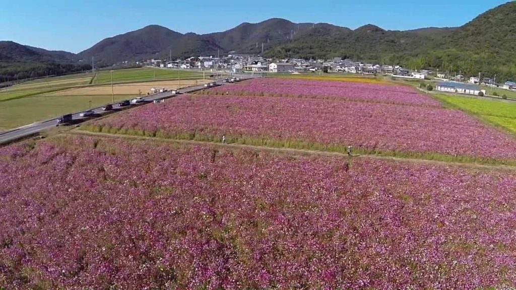 揖保町