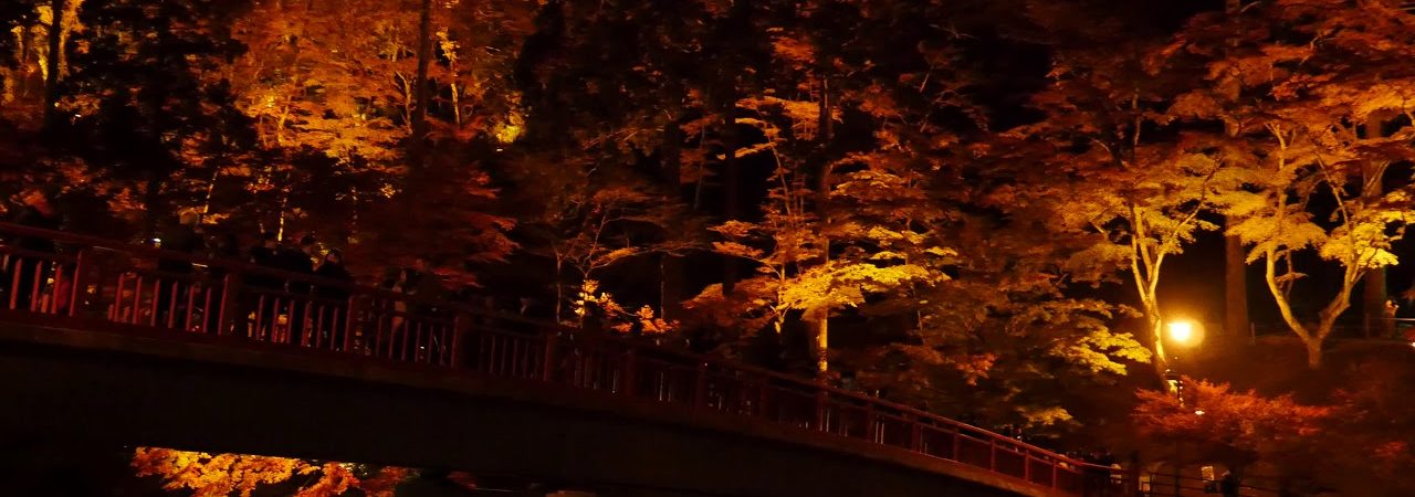 香嵐渓（愛知） | 2019年紅葉ライトアップ情報