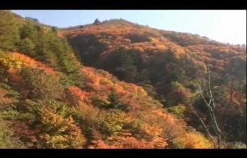 剣山（徳島） | 2019年紅葉まつり・見頃情報