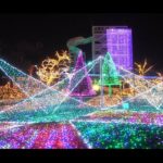 よみうりランド（東京・神奈川） | 2023-24年イルミネーション・ライトアップ情報