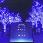 代々木公園ケヤキ並木～渋谷公園通り（東京） | 2023年イルミネーション・ライトアップ情報