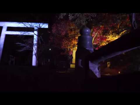 猪苗代町 土津神社(はにつじんじゃ)(福島) | 2019年紅葉ライトアップ・見頃情報