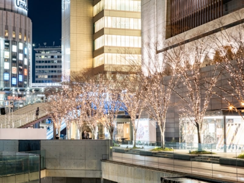 グランフロント大阪（大阪） | 2023-24年イルミネーション・ライトアップ情報