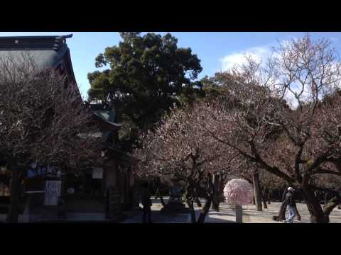 綱敷天満宮(福岡県築上町) | 2020年梅まつり・見頃情報