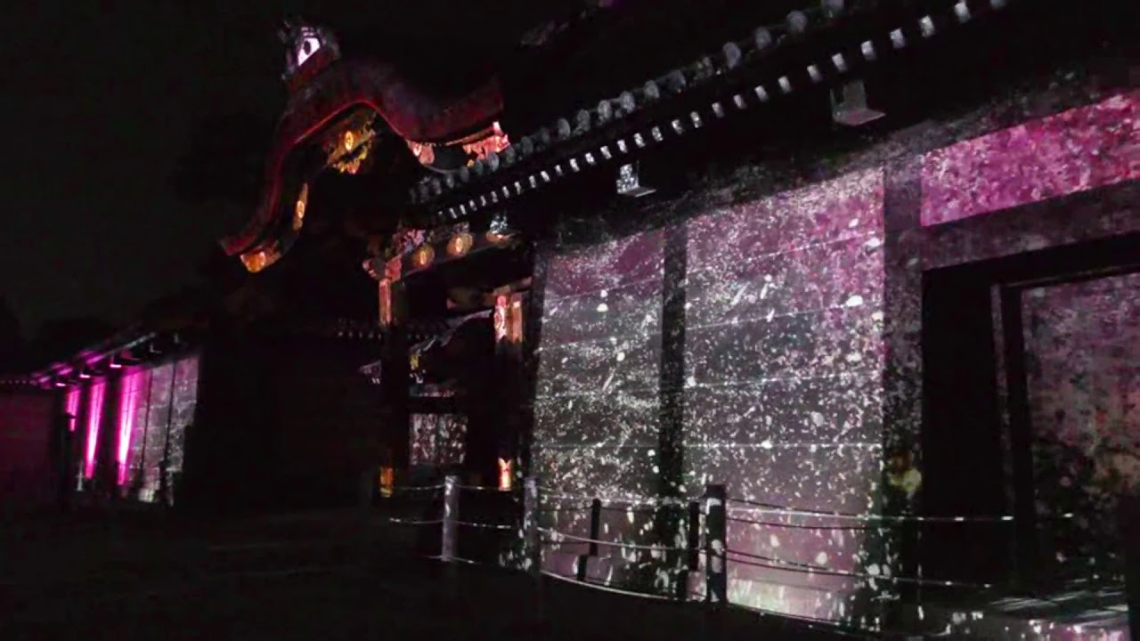 二条城 京都 21年桜祭り 夜桜ライトアップ 見頃情報 Amatavi
