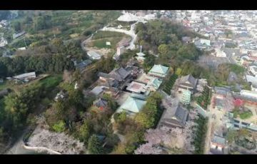 耕三寺（広島） | 2020年桜まつり・見頃情報