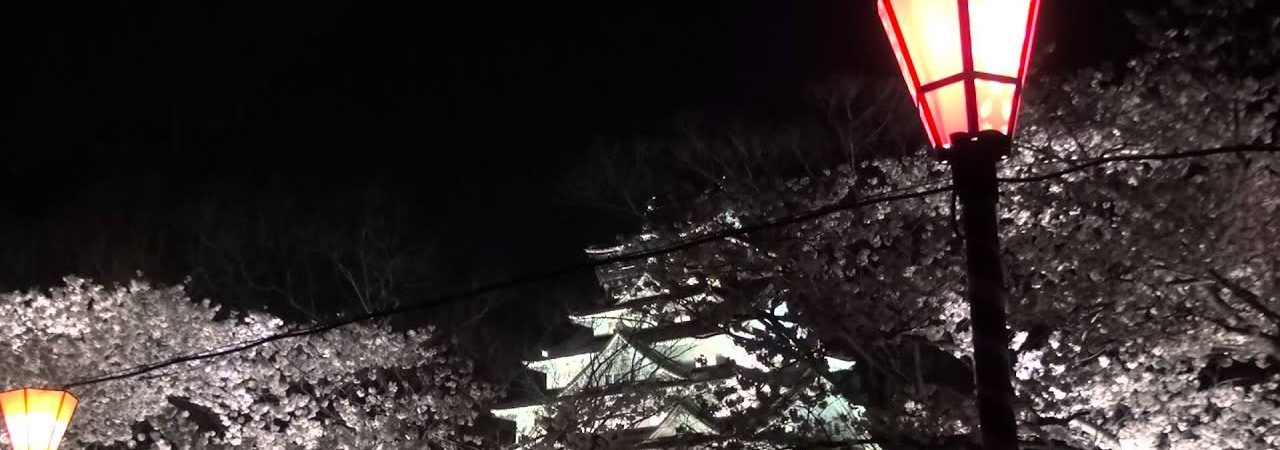 大阪城公園（大阪） | 2020年桜祭り・夜桜ライトアップ・見頃情報