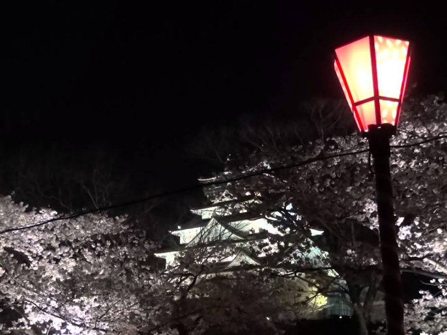 大阪城公園（大阪） | 2020年桜祭り・夜桜ライトアップ・見頃情報
