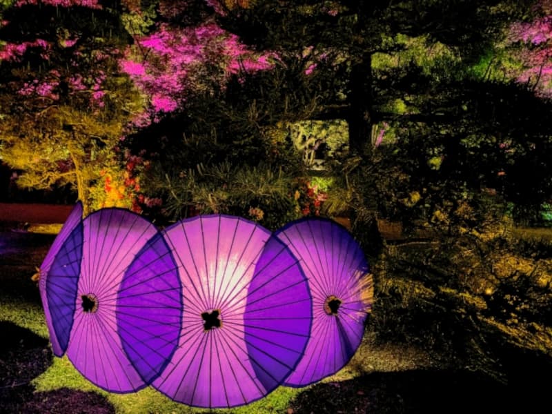 春の幻想庭園（岡山）｜2021年ライトアップイベント開催情報
