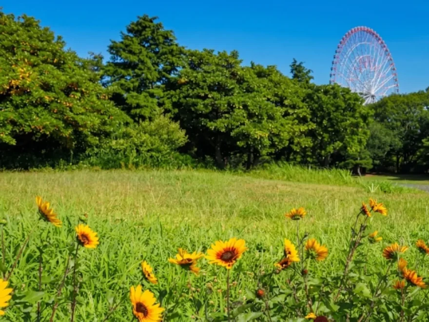 葛西臨海公園（東京） | 2026年ひまわり祭り・見頃情報