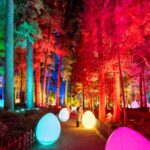 チームラボ 偕楽園 光の祭（茨城）｜2022年ライトアップイベント開催情報