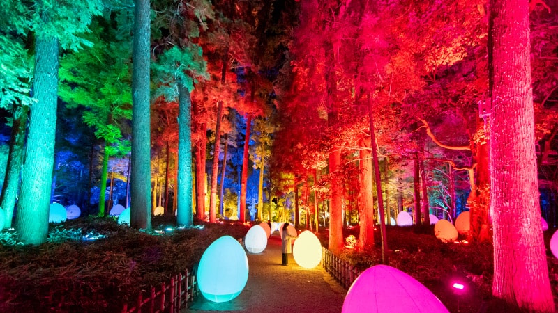 チームラボ 偕楽園 光の祭（茨城）｜2022年ライトアップイベント開催情報