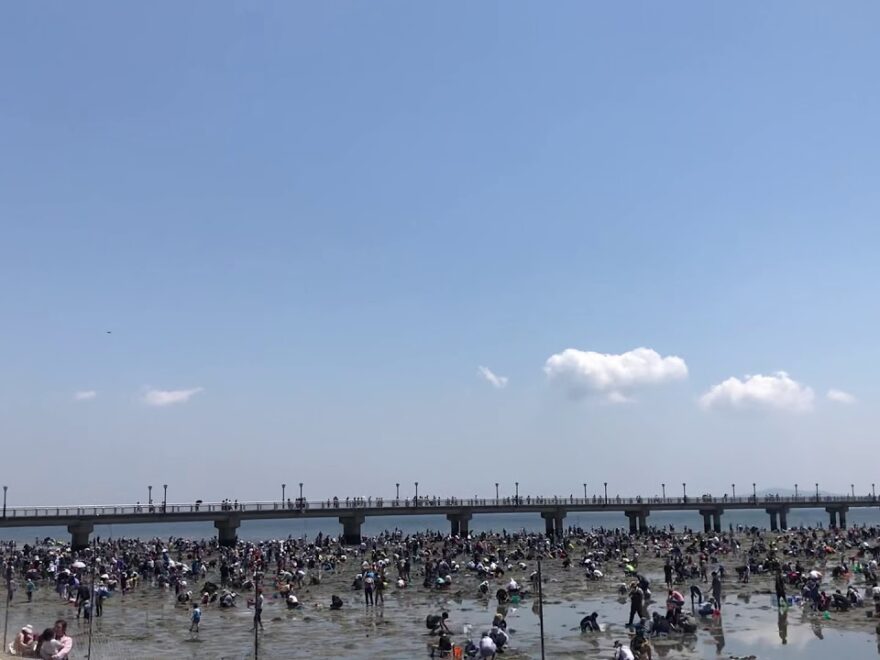 竹島海岸（愛知県蒲郡市） | 2021年潮干狩り情報