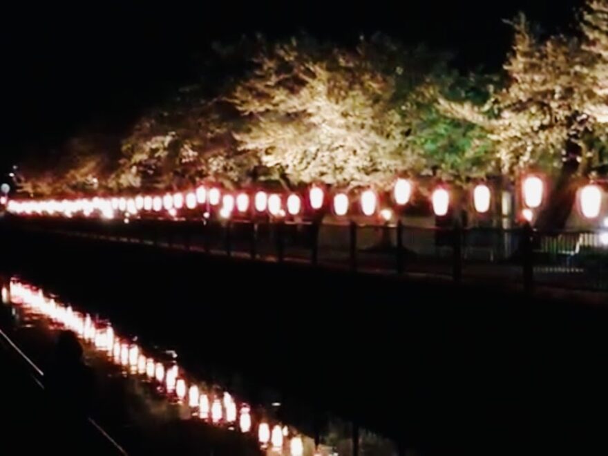 葛西用水路沿い（埼玉） | 2021年桜祭り・夜桜ライトアップ・見頃情報