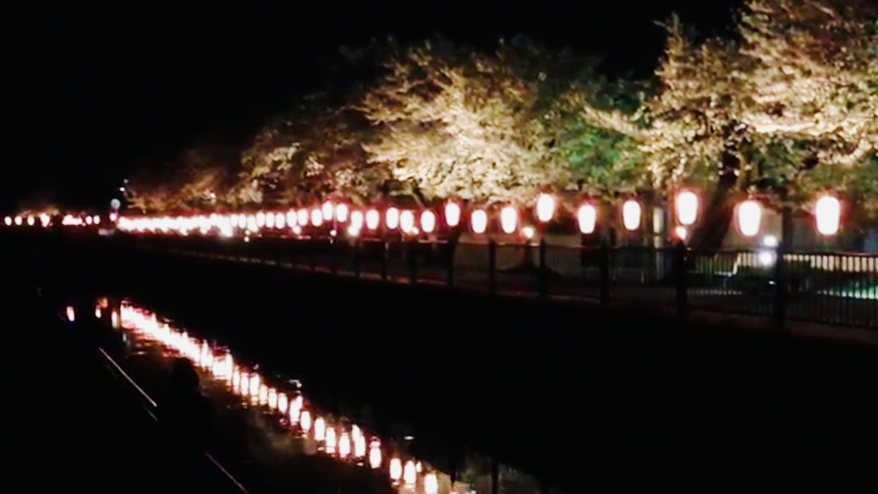 中止 葛西用水路沿い 埼玉 21年桜祭り 夜桜ライトアップ 見頃情報 Amatavi