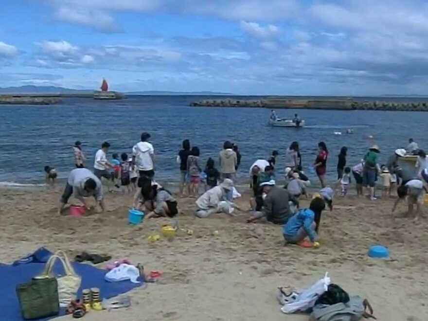 【中止】淡輪ときめきビーチ（大阪府岬町） | 2021年潮干狩り情報