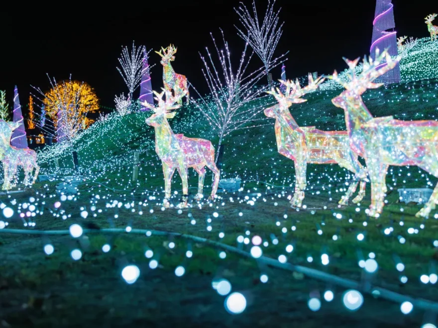 堺・緑のミュージアム　ハーベストの丘（大阪） | 2025年イルミネーション・ライトアップ情報