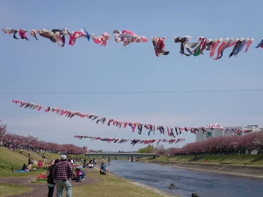 釈迦堂川（福島県須賀川市） | 2022年こいのぼりイベント開催情報