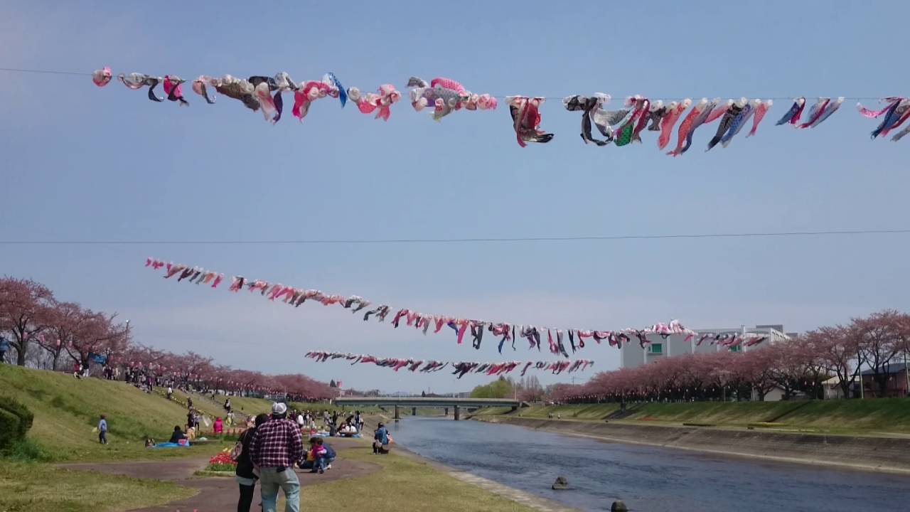 釈迦堂川（福島県須賀川市） | 2022年こいのぼりイベント開催情報