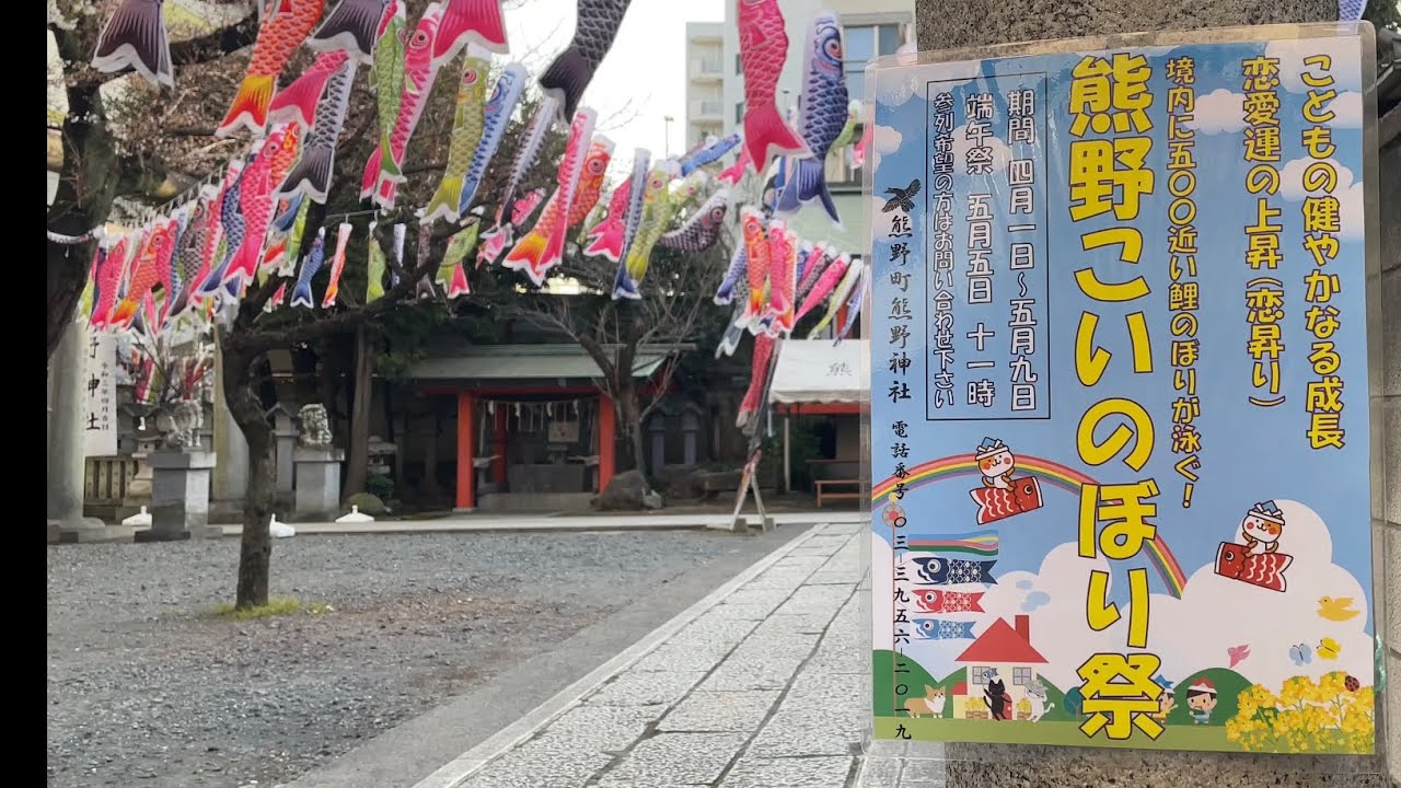 熊野町熊野神社 東京都板橋区 22年こいのぼりイベント開催情報 Amatavi