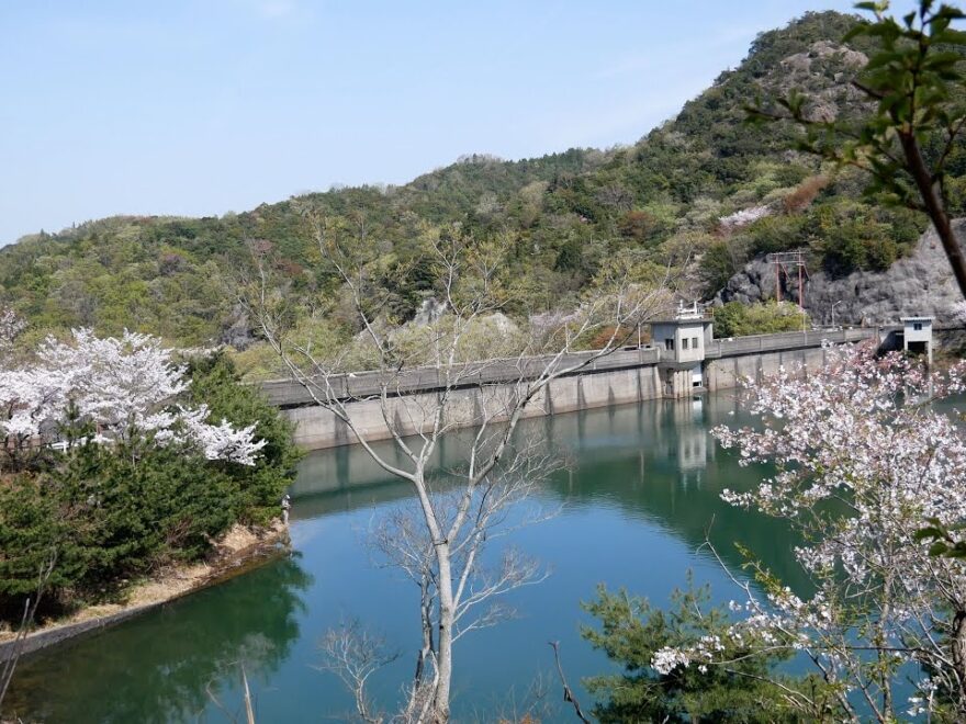 永楽ダム（奥山雨山自然公園）（大阪） | 2024年桜祭り・夜桜ライトアップ・見頃情報