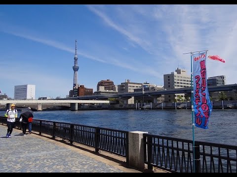 隅田川テラス/柳橋地区（東京都墨田区） | 2025年こいのぼりイベント開催情報