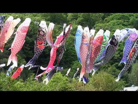 真備美しい森（岡山県倉敷市） | 2025年こいのぼりイベント開催情報