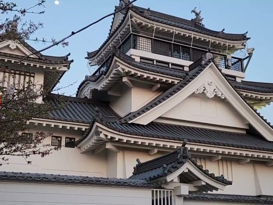 妙見山公園（徳島） | 2026年桜祭り・夜桜ライトアップ・見頃情報